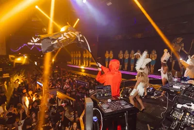 Žurka u Diskoteci Camel — noćni klub Sanski Most