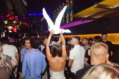 Žurka u Diskoteci Camel — noćni klub Sanski Most